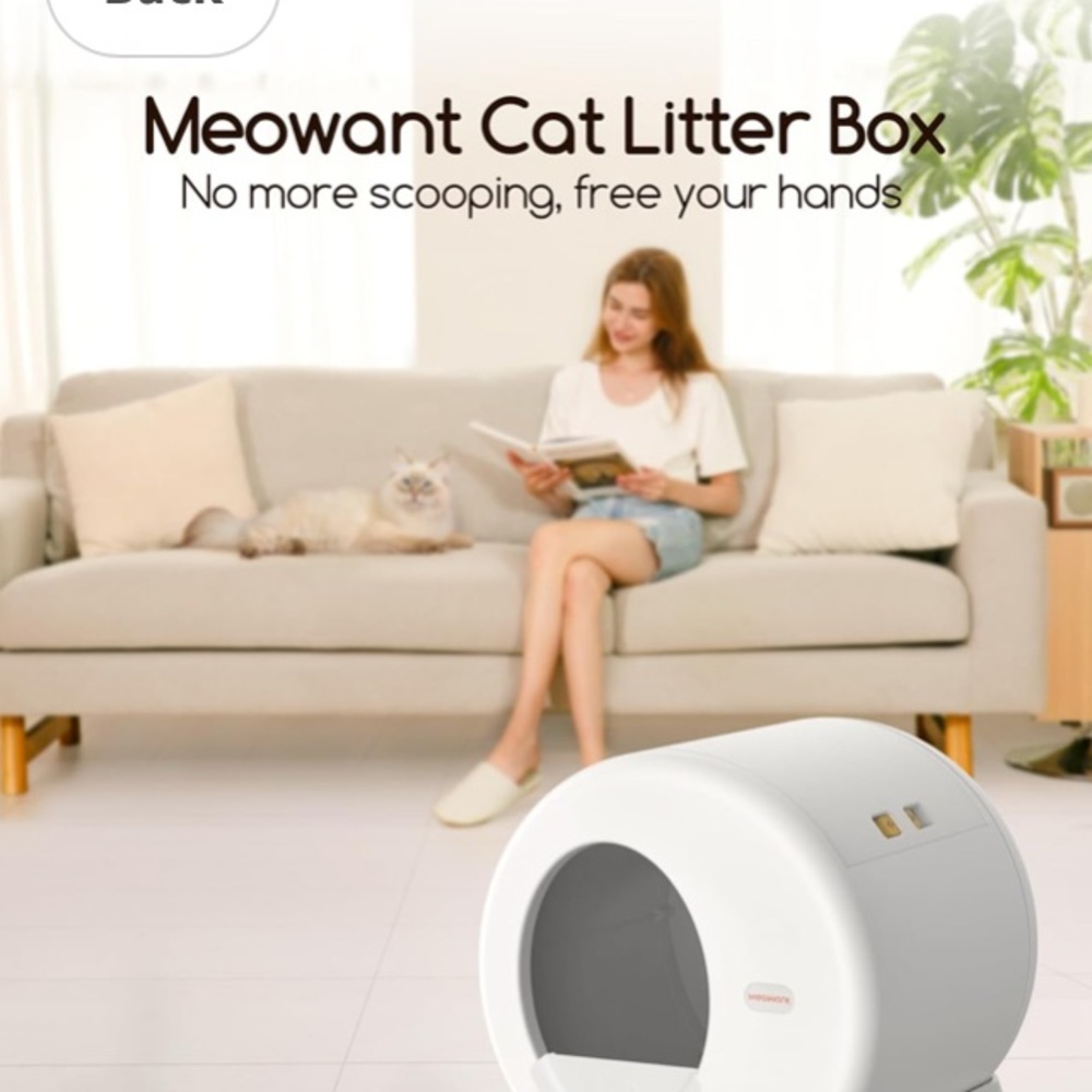 White Cat Litter Box